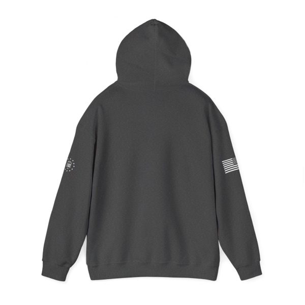 Two Seater Unisex Heavy Blend™ Hooded Sweatshirt - Image 9